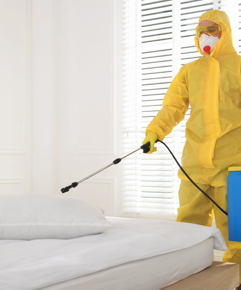 Professional Pest Control Team in Macdonald Park